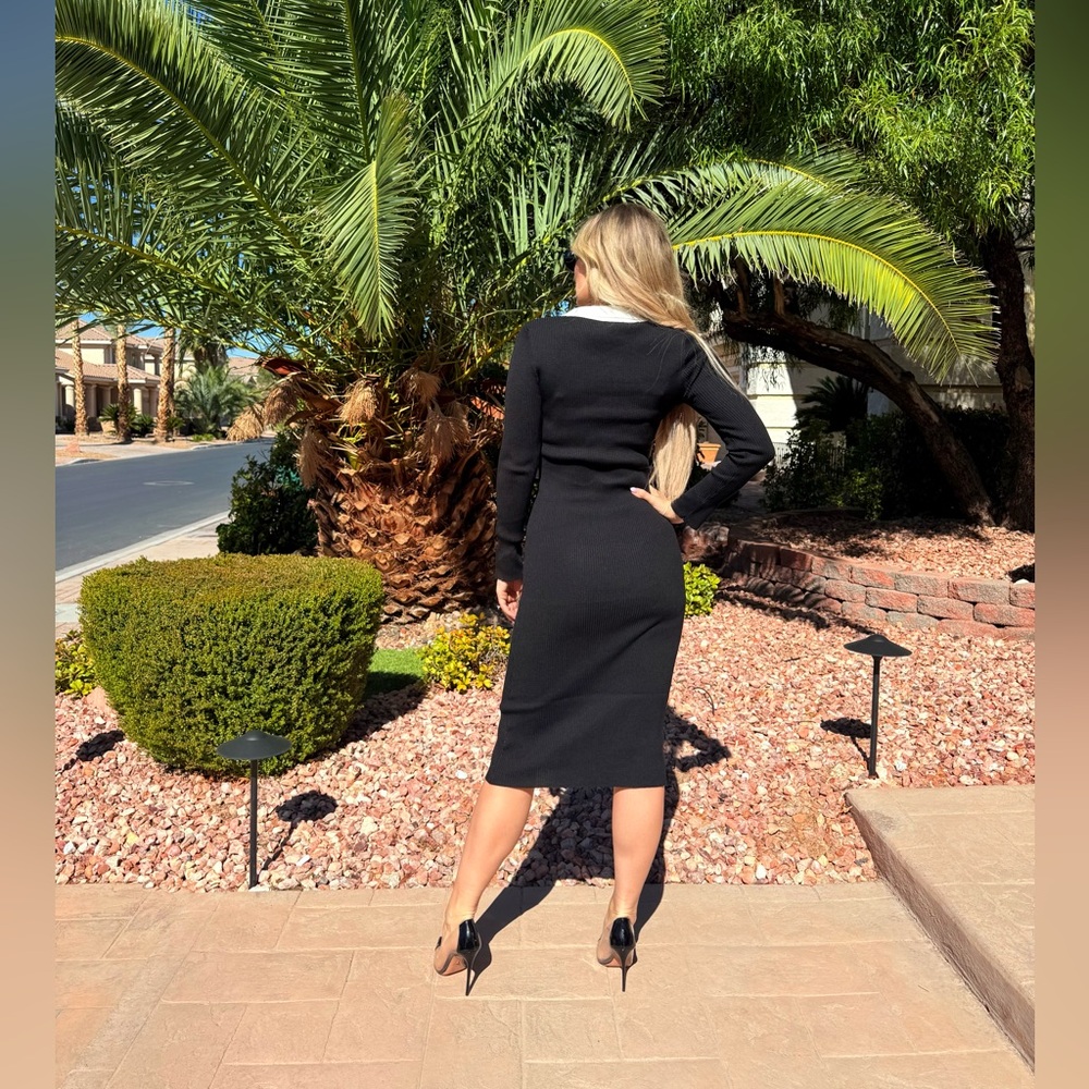 227 ‘Alex’ Elegant Black and White Button-Down Dress - Picture 7 of 9